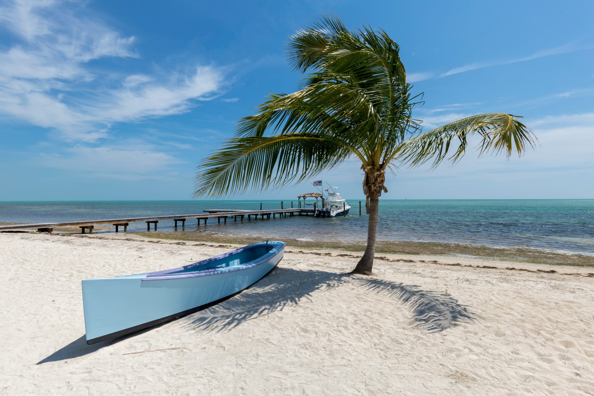 Tropical Beach Background